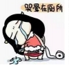 到了美国，才发现选大学不该只看排名！